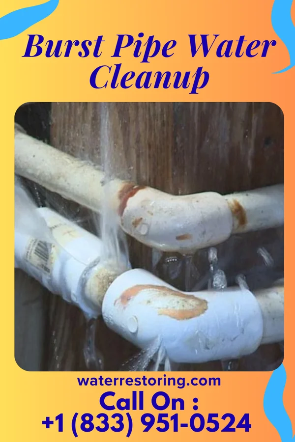 Burst Pipe Water Cleanup in Clarks Hill, IN
