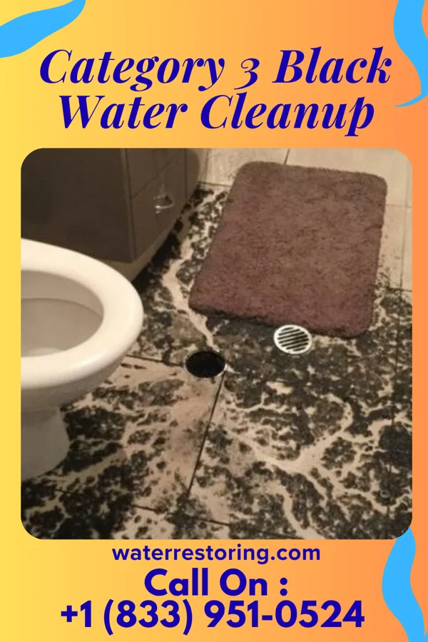 Category 3 Black Water Cleanup in Clarks Hill, IN
