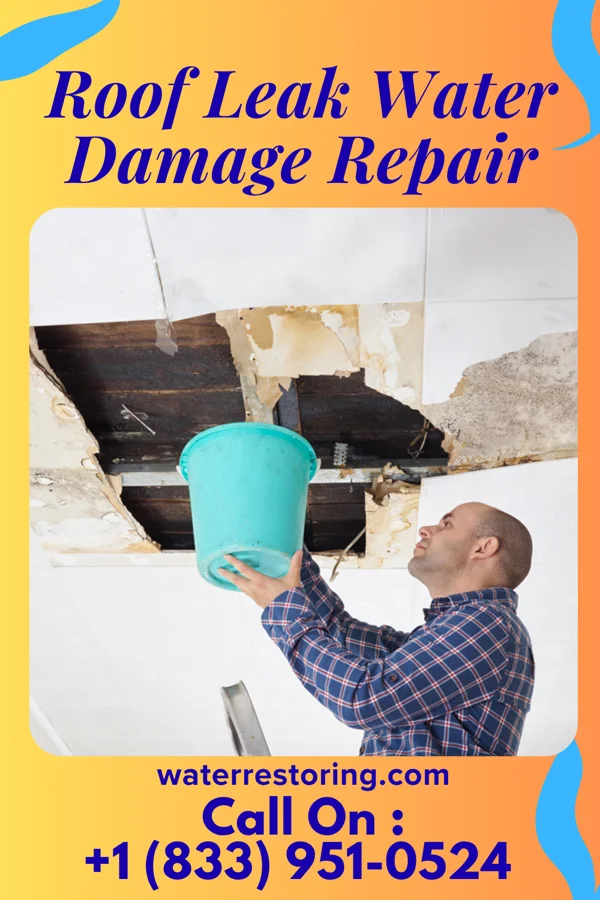 Roof Leak Water Damage Repair in Clarks Hill, IN